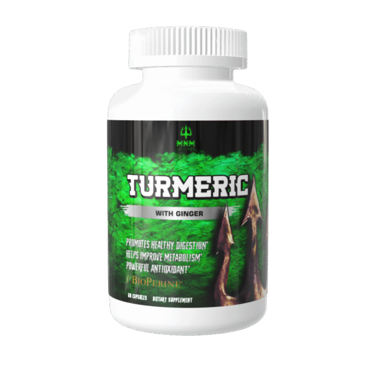 TURMERIC High-Potency with Ginger