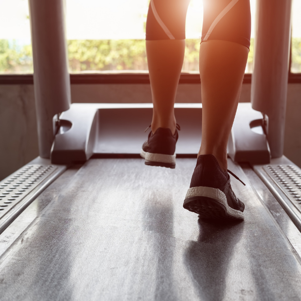 Fitness Fitness