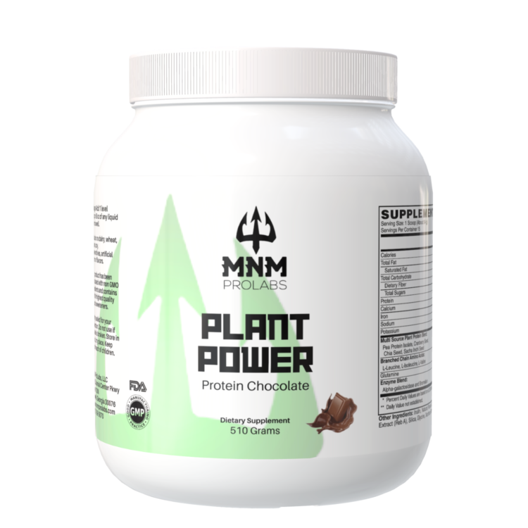 PLANT POWER – Vegan Chocolate Protein